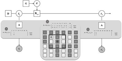 The Acquisition of Culturally Patterned Attention Styles Under Active Inference